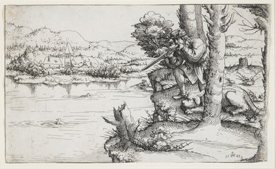 Duck Shooting with Firearms by Augustin Hirschvogel