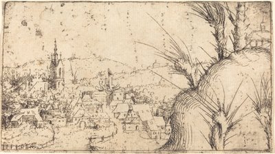 Landscape with a Town at Left by Augustin Hirschvogel