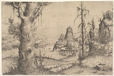 River Landscape with Large Tree by Augustin Hirschvogel