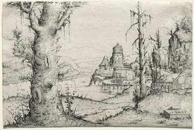 River landscape with large tree at left by Augustin Hirschvogel