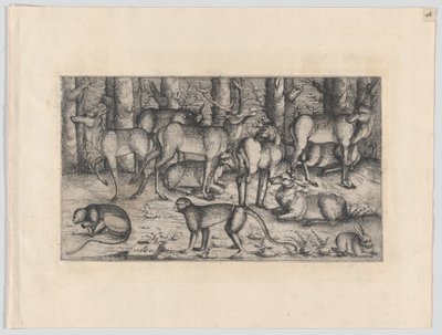 Stags in the Forest, 1545 by Augustin Hirschvogel