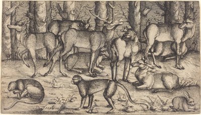 Stags in the Forest by Augustin Hirschvogel