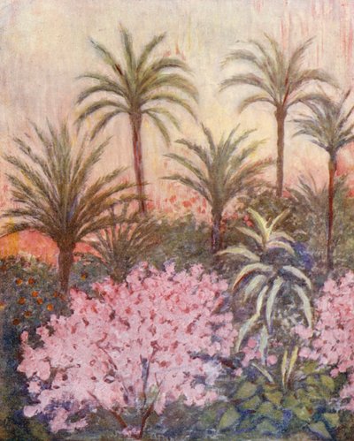 A Palm Grove in Murcia by Augustine Fitzgerald
