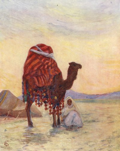 The Palanquin of the Bash Aga, Biskra by Augustine Fitzgerald