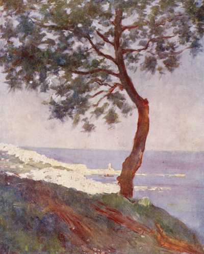 View of Algiers from Mustapha Superieur by Augustine Fitzgerald
