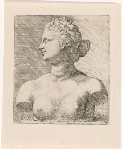 Bust of Venus de