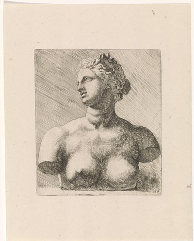 Bust of Venus de