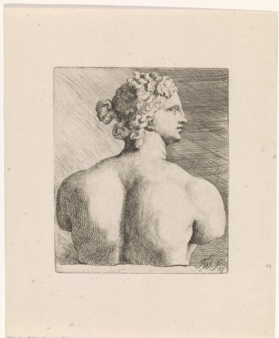Bust of Venus de