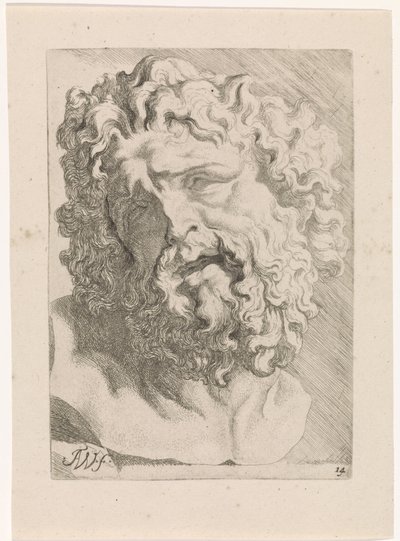 Head of Laocoön by Augustinus Terwesten (I)
