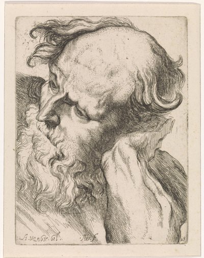Head of an Old Man (Joseph) by Augustinus Terwesten (I)