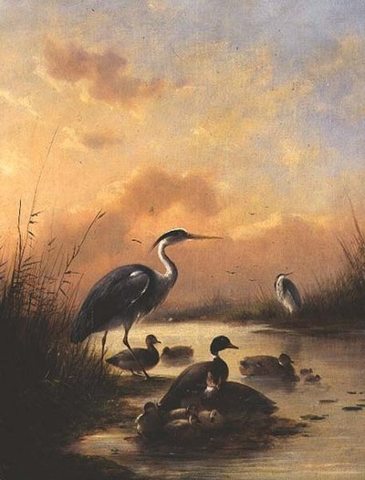 A Family of Mallard and Two Herons by Augustus Knip
