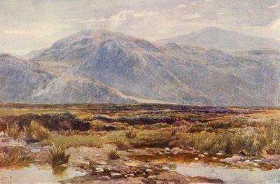 Cader Idris by Augustus Watford Weedon