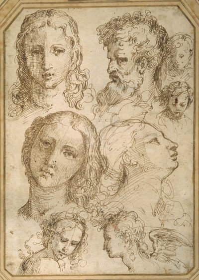 Head studies: a woman, an angel, a youth and a bearded man by Aurelio (attr. to) Luini