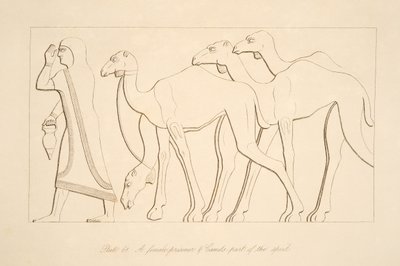 A female prisoner and camel, illustration from Monuments of Nineveh, 1849 by Austen Henry Layard