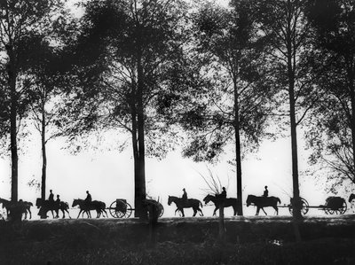 A view of Australian artillery limbers loaded with ammunition proceeding along the Ypres Road, 25 September 1917 by Australian Photographer