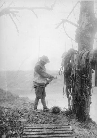 An Unidentified Australian Artillery Driver Cleaning Mud from His Team
