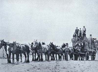 Wool Carrying Team, Western Australia, from 