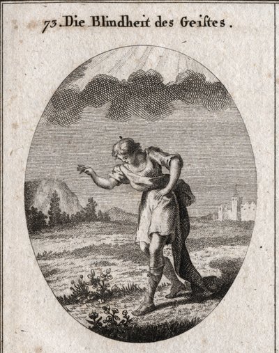 Allegory of mind blindness. A young man looks at the flowers in a meadow alluding to the delights of the earth that replenish the soul and occupy it without any profit. A cloud stops the light from punching his mind. Engraving in 