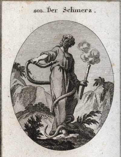 Allegory of Pain. A Monstrous Snake Surrounds Him Who, After Having Bound His Feet, Gains His Body and Tries to Bite His Heart. She Holds a Torch That Still Smokes, Which Means That Pain-Induced Abatement Quits the Fire of the Soul. Engraving in 