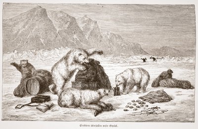 Polar bears attacking our luggage, pub. Vienna 1876 by Austrian School