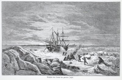 Farewell of the sun in the second year, 1876 by Austrian School