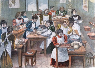 Female students in an Anatomy Institute in New York, 1897 by Austrian School