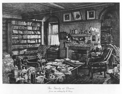 The Study at Down by Axel (after) Haig