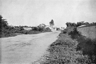 Colony of Sao Bernardo do Campo, 1895 by Axel Frick