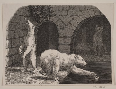 Bears in Jardin des Plantes by Axel Theodor Kittendorff