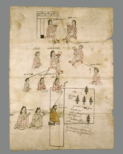 Page of Aztec Land Record, c.1575 by Aztec