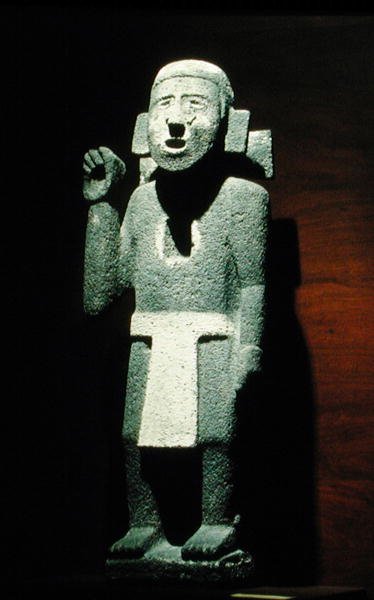 Standard Bearer by Aztec Aztec