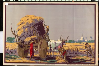 A Paddy Field, from the Series 