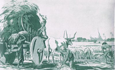 A paddy field in Burma, from MacMillan school posters, c.1950-60s by Ba Nyan