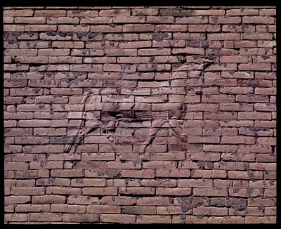 Detail of a bull, relief of the Ishtar gate, 580 BC by Babylonian