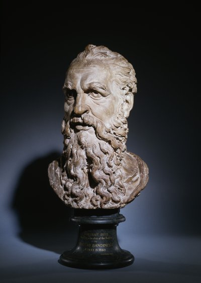 Study of the Head of Saint Paul, c.1535 by Baccio Bandinelli