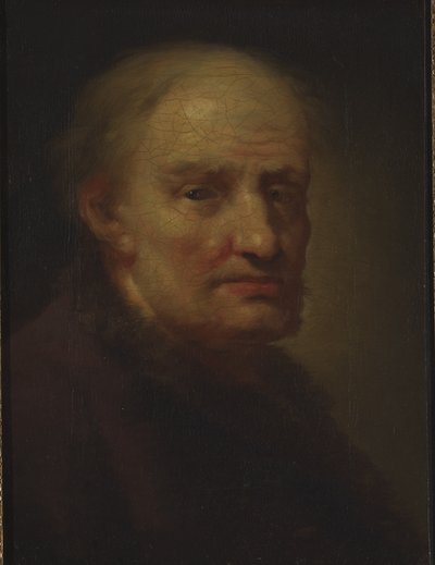 Head of an Old Man by Balthasar Denner
