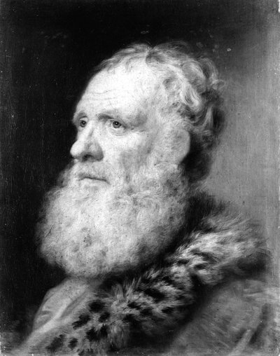 Head of an Old Man by Balthasar Denner