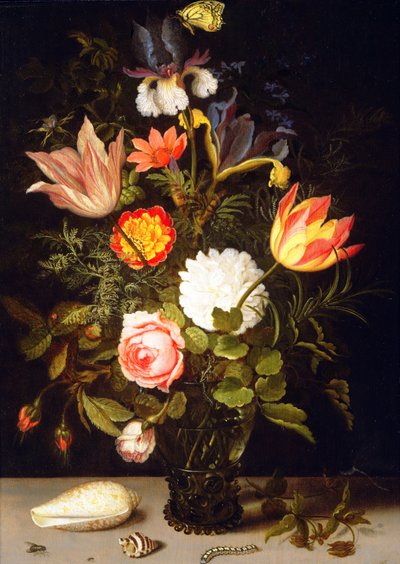 Still Life of Flowers in a Roemer with Two Shells by Balthasar van der Ast