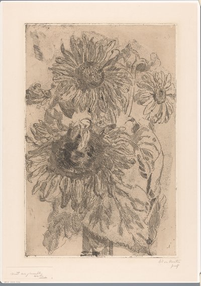 Three Sunflowers in a Vase by Barbara Elisabeth van Houten (signed by artist)