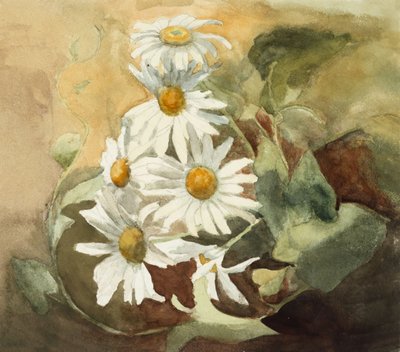 Daisies by Barbara Leigh Smith Bodichon