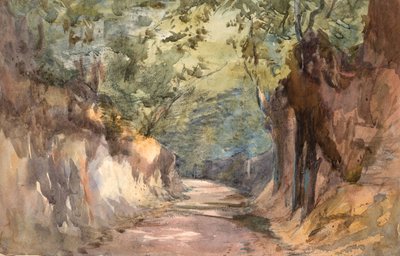 Entrance to Scalands Gate by Barbara Leigh Smith Bodichon