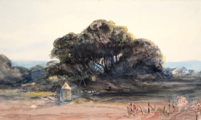 Landscape: Pine and Small Turret by Barbara Leigh Smith Bodichon