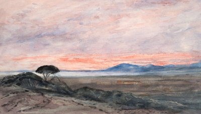 Landscape: Sunset by Barbara Leigh Smith Bodichon