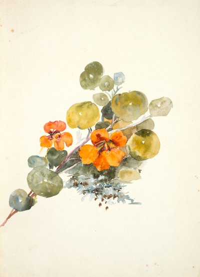 Nasturtiums by Barbara Leigh Smith Bodichon