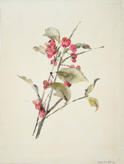 Pink Flowers by Barbara Leigh Smith Bodichon