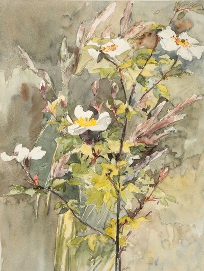 Wildflowers by Barbara Leigh Smith Bodichon