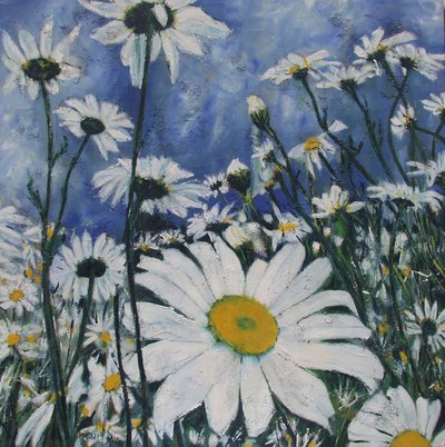 White Daisy Field by Barbara Piatti