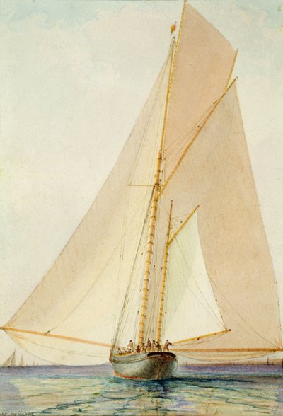 Booming out in a Light Zephyr by Barlow Moore