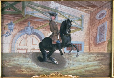 A brown bay horse of the Spanish Riding School performing a pirouette near the ground by Baron Reis Eisenberg