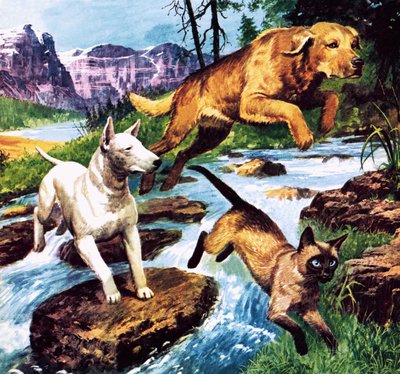 The Long Trek Home by Barrie Linklater